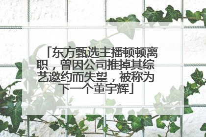 东方甄选主播顿顿离职，曾因公司推掉其综艺邀约而失望，被称为下一个董宇辉