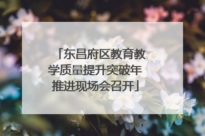 东昌府区教育教学质量提升突破年推进现场会召开