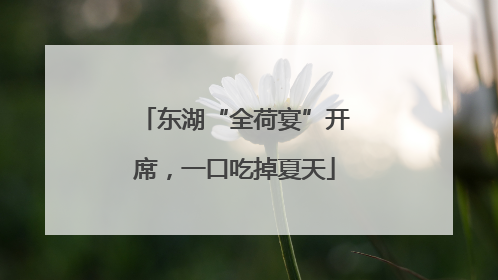 东湖“全荷宴”开席，一口吃掉夏天