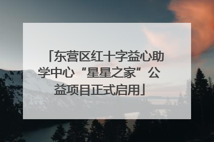 东营区红十字益心助学中心“星星之家”公益项目正式启用