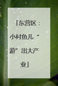 东营区：小村鱼儿“游”出大产业