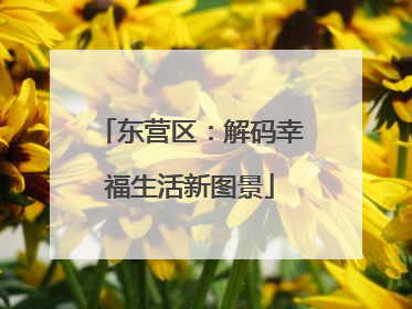 东营区：解码幸福生活新图景