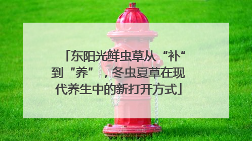 东阳光鲜虫草从“补”到“养”，冬虫夏草在现代养生中的新打开方式