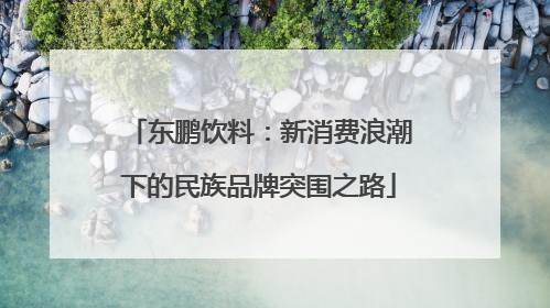 东鹏饮料：新消费浪潮下的民族品牌突围之路