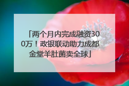 两个月内完成融资300万！政银联动助力成都金堂羊肚菌卖全球
