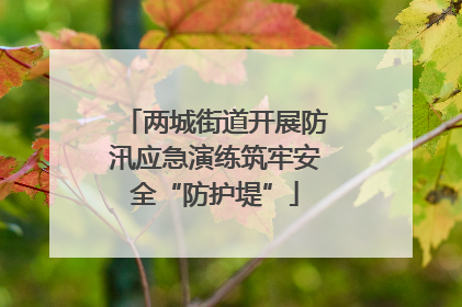 两城街道开展防汛应急演练筑牢安全“防护堤”