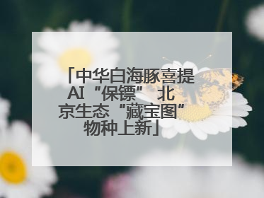 中华白海豚喜提AI“保镖” 北京生态“藏宝图”物种上新
