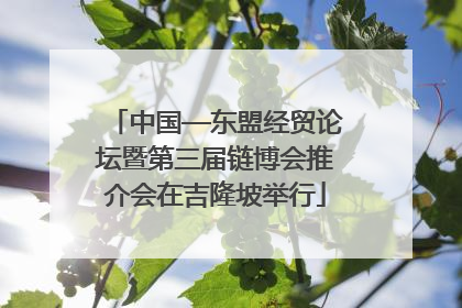 中国—东盟经贸论坛暨第三届链博会推介会在吉隆坡举行