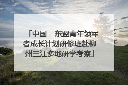 中国—东盟青年领军者成长计划研修班赴柳州三江多地研学考察