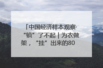 中国经济样本观察·“镇”了不起｜为衣做架，“挂”出来的80亿元“衣架产业”