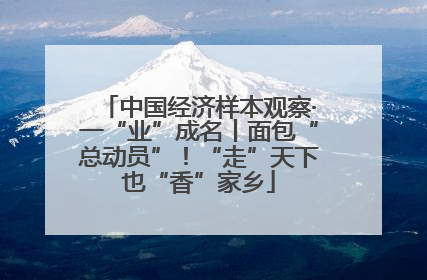 中国经济样本观察·一“业”成名丨面包“总动员”！“走”天下也“香”家乡