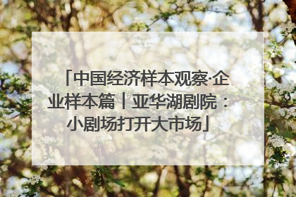 中国经济样本观察·企业样本篇︱亚华湖剧院：小剧场打开大市场