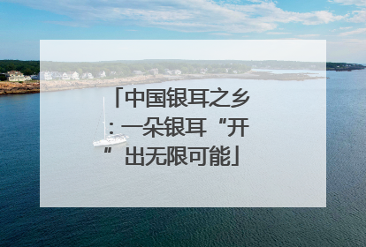 中国银耳之乡：一朵银耳“开”出无限可能