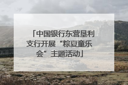 中国银行东营垦利支行开展“粽夏童乐会”主题活动