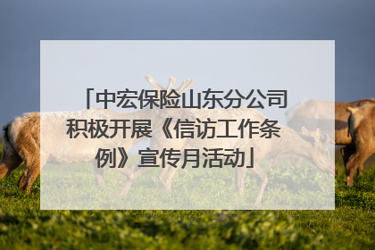 中宏保险山东分公司积极开展《信访工作条例》宣传月活动