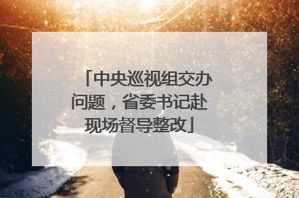中央巡视组交办问题，省委书记赴现场督导整改