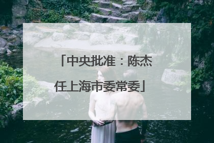 中央批准：陈杰任上海市委常委