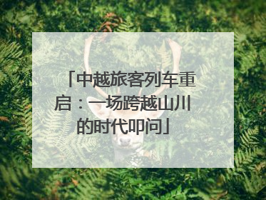 中越旅客列车重启：一场跨越山川的时代叩问