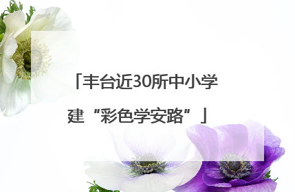 丰台近30所中小学建“彩色学安路”