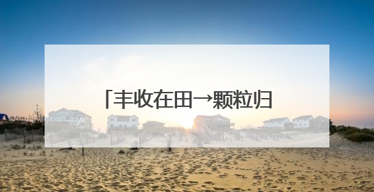丰收在田→颗粒归仓 夏收小麦这些“助手”帮大忙