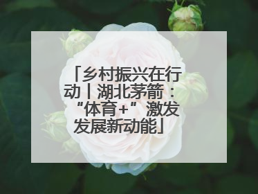 乡村振兴在行动丨湖北茅箭：“体育+”激发发展新动能