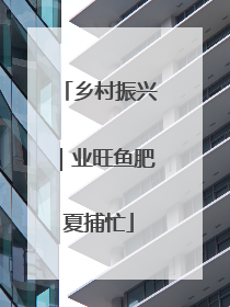 乡村振兴｜业旺鱼肥夏捕忙