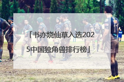 书亦烧仙草入选2025中国独角兽排行榜