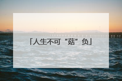 人生不可“菇”负