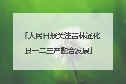 人民日报关注吉林通化县一二三产融合发展