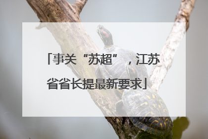 事关“苏超”，江苏省省长提最新要求