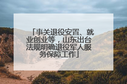 事关退役安置、就业创业等，山东出台法规明确退役军人服务保障工作