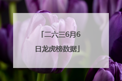 二六三6月6日龙虎榜数据