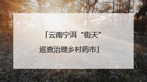 云南宁洱“街天”巡查治理乡村药市