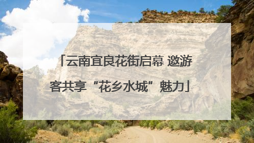 云南宜良花街启幕 邀游客共享“花乡水城”魅力