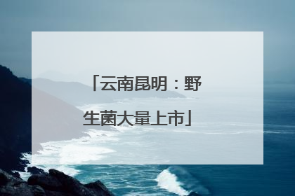 云南昆明：野生菌大量上市