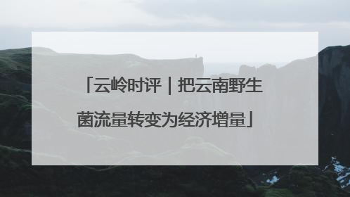云岭时评｜把云南野生菌流量转变为经济增量