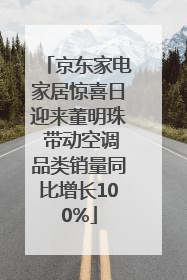 京东家电家居惊喜日迎来董明珠 带动空调品类销量同比增长100%