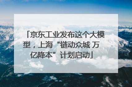京东工业发布这个大模型，上海“链动众城 万亿降本”计划启动
