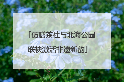 仿膳茶社与北海公园联袂激活非遗新韵