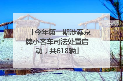 今年第一期涉案京牌小客车司法处置启动，共618辆