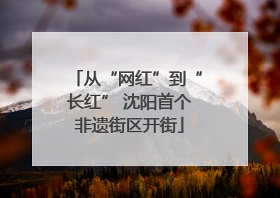 从“网红”到“长红” 沈阳首个非遗街区开街