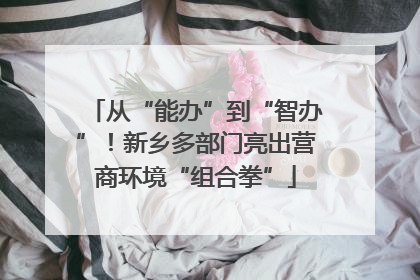 从“能办”到“智办”！新乡多部门亮出营商环境“组合拳”