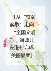 从“软弱涣散”走向“全国文明”，通城县左港村完成美丽蝶变
