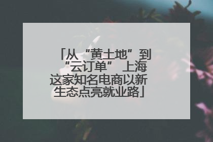 从“黄土地”到“云订单” 上海这家知名电商以新生态点亮就业路