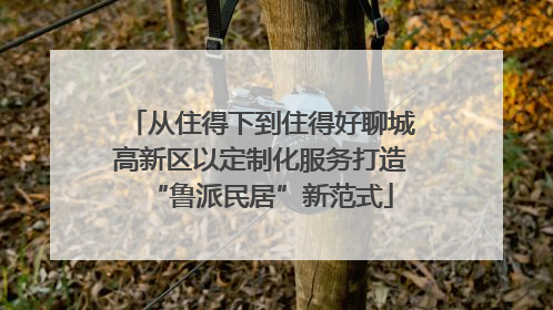 从住得下到住得好聊城高新区以定制化服务打造“鲁派民居”新范式