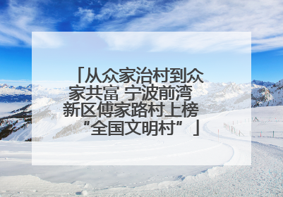 从众家治村到众家共富 宁波前湾新区傅家路村上榜“全国文明村”