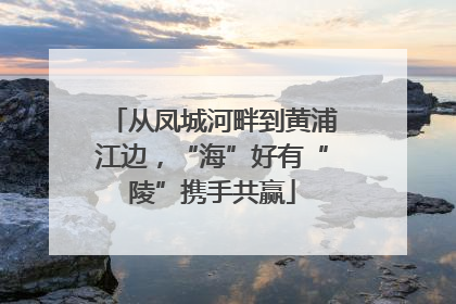 从凤城河畔到黄浦江边，“海”好有“陵”携手共赢