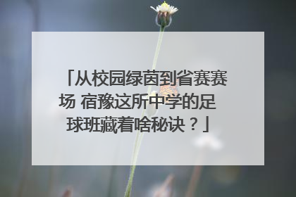 从校园绿茵到省赛赛场 宿豫这所中学的足球班藏着啥秘诀？