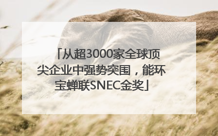 从超3000家全球顶尖企业中强势突围，能环宝蝉联SNEC金奖