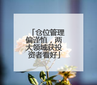 仓位管理偏谨慎，两大领域获投资者看好